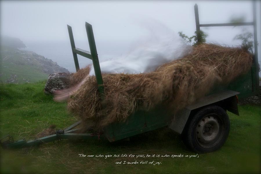 St Patrick 13_ Dead Cart_0430_large